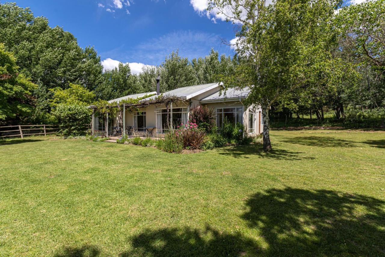 Lowestoffe Country Lodge - Trout Hogsback Exterior photo