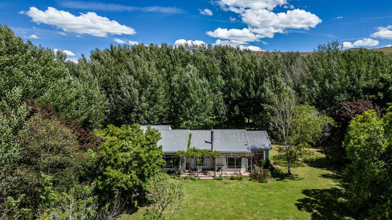 Lowestoffe Country Lodge - Trout Hogsback Exterior photo